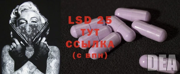 дживик Баксан