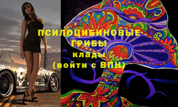 гидра Балахна