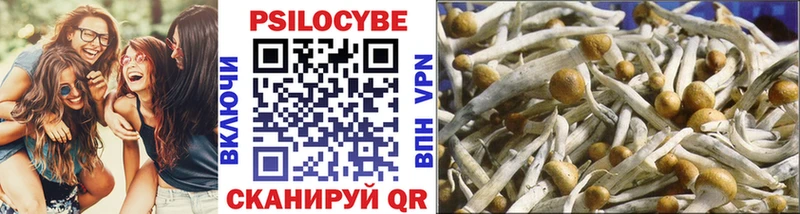 Псилоцибиновые грибы GOLDEN TEACHER  Купино 